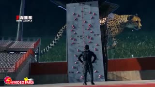 سریع‌ترین مرد عمودی جهان را بشناسید!/ یوزپلنگ ایرانی فاتح قله‌های صخره‌نوردی جهان