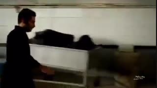 بدون تاریخ بدون امضا رایگان