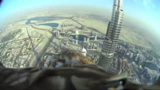 رکورد پرواز عقاب از بالاترین نقطه برج خلیفه در دبی