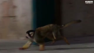 سریال The Worst Witch دوبله فارسی - فصل اول / قسمت 4