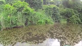 زیباترین فیلم مستند ماهیگیری با قلاب