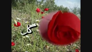 فریب درختان