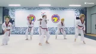 مایک دراپ ورژن تکواندو