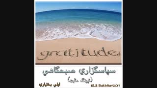 تپینگ شکرگزاری روزانه-ای اف تی-مثبت- لیلی بختیاری