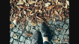 خدایا چرا؟خبری خیلی دل خراش!