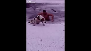 انسان شجاعی که ابن سگ را از داخل آب منجمد نجات داد