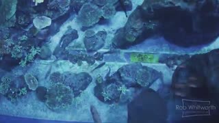 سفر به دبی در یک ویدئو