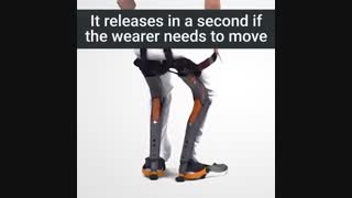 صندلی همراه