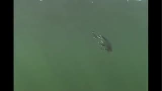 ساخت " قلاب ماهیگیری "