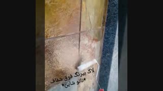 فروش و اجرای لاک فوق شفاف سنگ نما آنتی uv