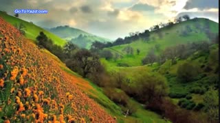 تصاویری دیدنی از ایران زیبا، سرزمین آریایی