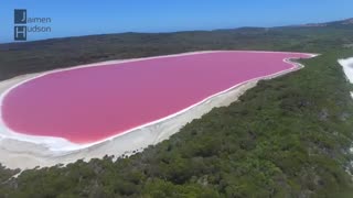 دریاچه صورتی در نزدیکی استرالیا