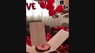 *سوپرایز ولنتاین*چ نازه سگه جوووونم