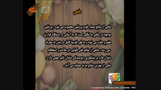 خواص بی نظیر مصرف ماهی/ خواص ماهی یکی دوتاه نیست خواص دیگری بسیار مهمی نیز دارد(منبع ویدئو) سایت نگاه)
