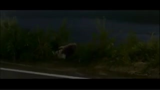 Windstruck Eng Subbed (내 여자 친구를 소개합니다) 2004 Region 3