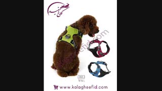 لوازم سگ در فروشگاه اینترنتی کلاغ سفید