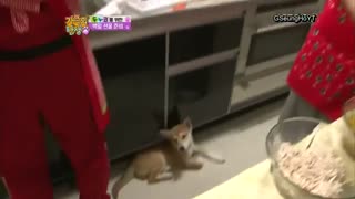 infinite-- birth of a family ep6        با زیرنویس آنلاین