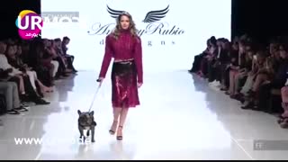 فروشگاه اینترنتی لباس زنانه | کت دامن , بلوز , تونیک , شلوار , شومیز , سرهم |