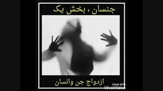 جنسان چیست؟