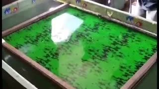 فروش دستگاه هیدروگرافیک/مخمل پاش09362022208