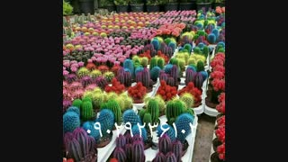 دستگاه مخمل پاش/دستگاه هیدروگرافیک/دستگاه ابکاری09362022208