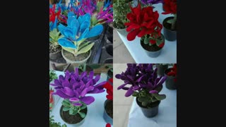 فروش دستگاه هیدروگرافیک/مخمل پاش/آبکاری/فانتاکروم09362022208