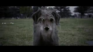 فیلم جان ویک ولی برعکس dog wick