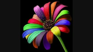 دستگاه مخمل پاش/هیدروگرافیک/آبکاری/فانتاکروم 09362022208