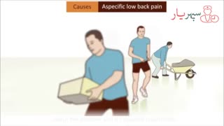 درد پایین کمر و پیشگیری از آن