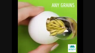 سبز کردن سبزه در پوست تخم مرغ