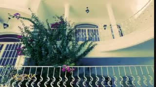 آتلیه فیلم و عکس رز سفید - whiteroseatelier