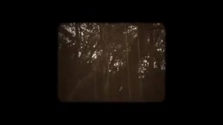 تریلر فیلم ترسناک Devil’s Tree: Rooted Evil 2018