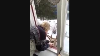 این گوزن بزرگ زیبا، هر روز به دیدار این پیرزن می آید