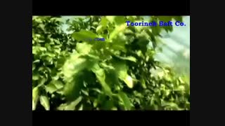 تاثیر استفاده از توری سایبان -  شرکت تورینه بافت