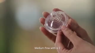 سرشیشه های تامی تیپی