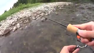 آموزش از صفر تا صد ماهیگیری با قلاب