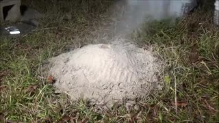 ساخت مجسمه زیبای آلومینیومی با استفاده از لانه مورچه متروکه