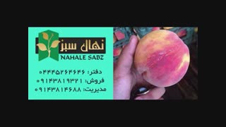 خرید انواع نهال هلو