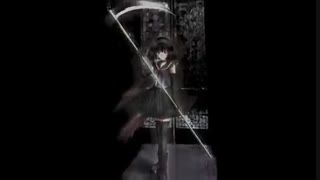 Harry Potter and sailor moon