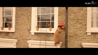 دانلود فیلم کمدی پدینگتون 2 - Paddington2 2017