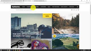 آموزش کار با بخش نمایش وردپرس