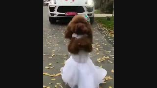 سال 97 با چه سرعتی میاد