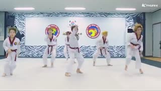 .MIC DROP BTS taekwondo ver