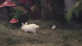 آهنگ Sayonara no mae ni از گروه( AAA (Attack All around