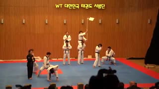 در حاشیه بازیهای المپیک زمستانی پیونگ چانگ 2017 - نمایش مشترک تیمهای تکوان-دو ITF وWTF