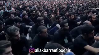 رائفی پور جدید - سگ