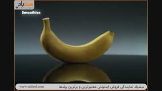 مخلوط کن پیشرفته دیجیتال گاستروبک - خرید در sinbod.com