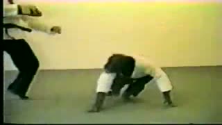 میمونه تکواندو کار