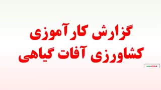 گزارش کارآموزی کشاورزی آفات گیاهی