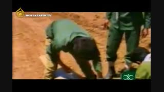 مستند پرواز کرکسها